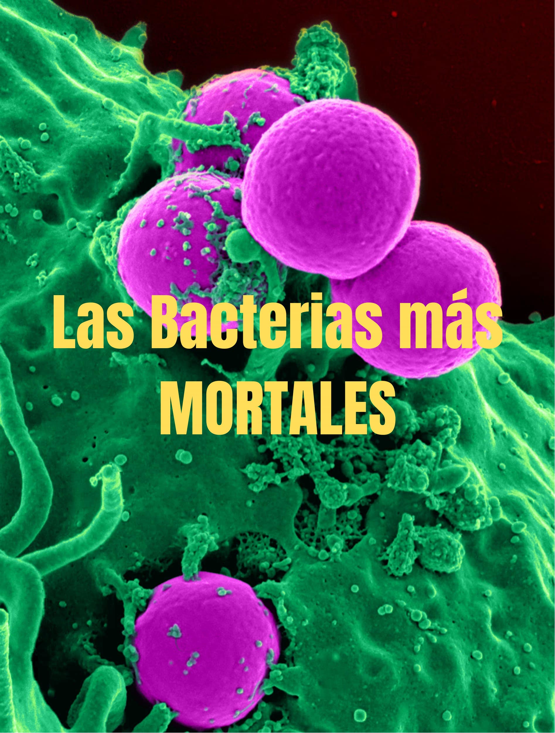 Las Bacterias más MORTALES