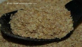 Germen de Trigo Un alimento completo