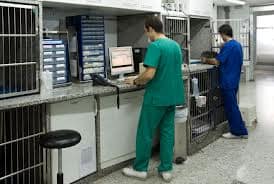 Pruebas diagnóstico Hospitalización