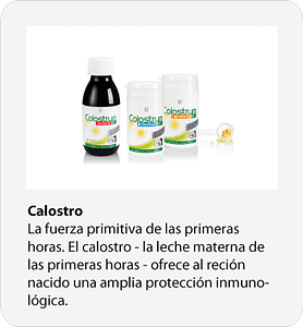 Calostro Certificado calostro