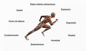 Test sobre el estrés oxidativo estrés oxidativo