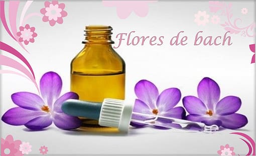 La naturaleza te cura